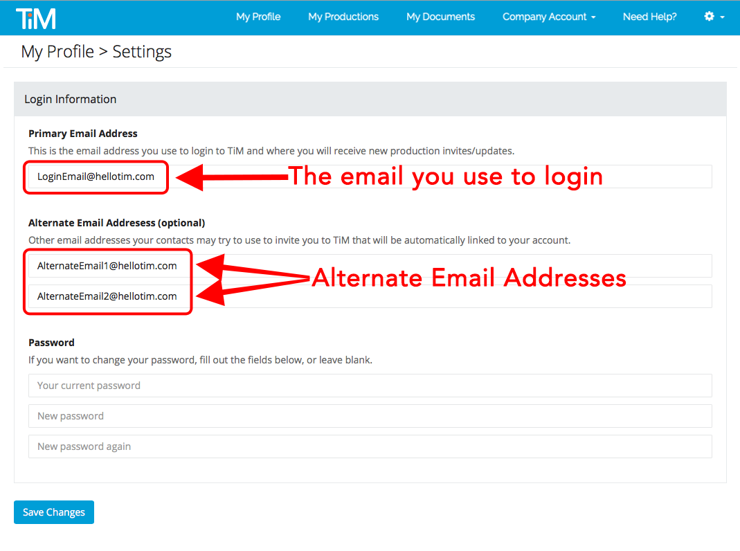 what is the meaning of alternate email address